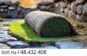 A rolled sod lies on a lush grassy area beside a stone pathway, showcasing landscaping efforts in a peaceful garden environment. Стоковое AI-изображение, AI-художник Данила Большаков / Фотобанк Лори