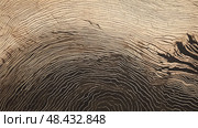 artwork printmaking texture ai generated. Стоковое AI-изображение, AI-художник Vectorwin / Фотобанк Лори