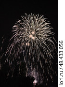 Праздничный салют. Салют в небе. Festive fireworks. Fireworks in the sky. Стоковое фото, фотограф Ольга Митряева / Фотобанк Лори