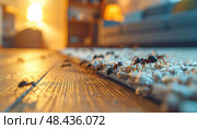 Close-up of ants invading indoor carpet, representing issues of pest control, seasonal infestation, and the hidden challenges of indoor hygiene. Стоковое AI-изображение, AI-художник Ольга Сухарева / Фотобанк Лори