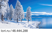 frozen south lake tahoe trees ai generated. Стоковое AI-изображение, AI-художник Vectorwin / Фотобанк Лори