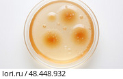 probiotic kombucha white background ai generated. Стоковое AI-изображение, AI-художник Vectorwin / Фотобанк Лори