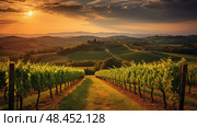 brunello wine tuscany ai generated. Стоковое AI-изображение, AI-художник Vectorwin / Фотобанк Лори