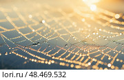 spiderweb gleam light ai generated. Стоковое AI-изображение, AI-художник Vectorwin / Фотобанк Лори
