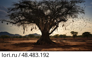 roosting bat tree ai generated. Стоковое AI-изображение, AI-художник Vectorwin / Фотобанк Лори