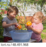 Children washing dishes outdoors. Стоковое фото, фотограф Юлия Бабкина / Фотобанк Лори