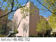 Доходный дом К. Г. Чубакова в Санкт-Петербурге. Редакционное фото, фотограф Татьяна Шикова / Фотобанк Лори