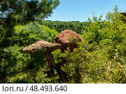 Красные камни в виде грибов в Курортном парке Кисловодка (2024 год). Редакционное фото, фотограф Татьяна Новикова / Фотобанк Лори