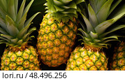 yellow pineaple pineapple fruit ai generated. Стоковое AI-изображение, AI-художник Vectorwin / Фотобанк Лори
