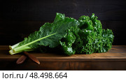 lettuce salad greens ai generated. Стоковое AI-изображение, AI-художник Vectorwin / Фотобанк Лори