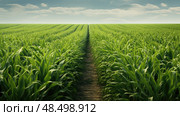 s monoculture crop farm ai generated. Стоковое AI-изображение, AI-художник Vectorwin / Фотобанк Лори