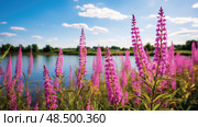 loosestrife invasive plants ai generated. Стоковое AI-изображение, AI-художник Vectorwin / Фотобанк Лори