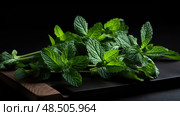 thyme herbs on black ai generated. Стоковое AI-изображение, AI-художник Vectorwin / Фотобанк Лори