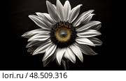 contrast background colors ai generated. Стоковое AI-изображение, AI-художник Vectorwin / Фотобанк Лори