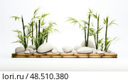 serene bamboo on white ai generated. Стоковое AI-изображение, AI-художник Vectorwin / Фотобанк Лори