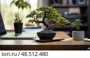tranquility plant on desk ai generated. Стоковое AI-изображение, AI-художник Vectorwin / Фотобанк Лори