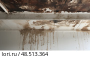 moisture property water damage ai generated. Стоковое AI-изображение, AI-художник Vectorwin / Фотобанк Лори
