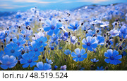 chicory wild flowers blue ai generated. Стоковое AI-изображение, AI-художник Vectorwin / Фотобанк Лори