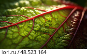 texture rhubarb leaf ai generated. Стоковое AI-изображение, AI-художник Vectorwin / Фотобанк Лори