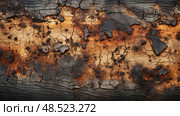 fungus rotten wood ai generated. Стоковое AI-изображение, AI-художник Vectorwin / Фотобанк Лори