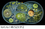 chloroplast plant anatomy ai generated. Стоковое AI-изображение, AI-художник Vectorwin / Фотобанк Лори