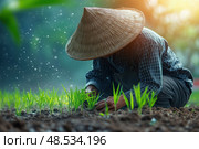 Фермер на рисовом поле в рассветный час. Стоковое AI-изображение, AI-художник Александр Жуков / Фотобанк Лори
