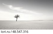 solitude black minimal ai generated. Стоковое AI-изображение, AI-художник Vectorwin / Фотобанк Лори