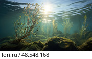 kelp sea plants ai generated. Стоковое AI-изображение, AI-художник Vectorwin / Фотобанк Лори