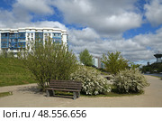 Park on Picturesque embankment (central part) Moscow River against background of House of Moscow Oblast Government  in Krasnogorsk, Moscow region. Стоковое фото, фотограф Валерия Попова / Фотобанк Лори