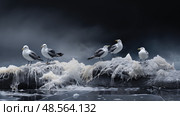 seabirds ice on black ai generated. Стоковое AI-изображение, AI-художник Vectorwin / Фотобанк Лори