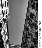 Вид снизу. Стоковое фото, фотограф Мария Деменьшина / Фотобанк Лори
