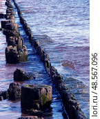 Unique Coastal Structure Creates a Natural Breakwater Along the Serene Shoreline at Low Tide. Стоковое фото, фотограф Aleksandr Golubev / Фотобанк Лори
