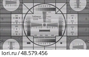 Retro Television Test Pattern with grayscale tones Bars. Стоковая анимация, аниматор Максим Гребешков / Фотобанк Лори
