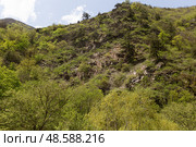 View of the mountains in Armenia. Tavush region. Стоковое фото, фотограф Evgenia Shevardina / Фотобанк Лори
