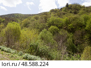 View of the mountains in Armenia. Tavush region. Стоковое фото, фотограф Evgenia Shevardina / Фотобанк Лори