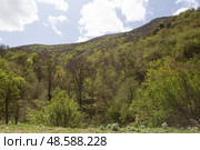 View of the mountains in Armenia. Tavush region. Стоковое фото, фотограф Evgenia Shevardina / Фотобанк Лори