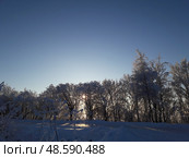 Зимний лес на фоне восходящего солнца. Стоковое фото, фотограф Андрюков Антон / Фотобанк Лори
