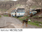 Сломанный автобус ЛАЗ-695 в горах Армении. Автохлам. Редакционное фото, фотограф Evgenia Shevardina / Фотобанк Лори
