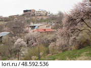 View of the village in Armenia in the spring. Kotayk region. Стоковое фото, фотограф Evgenia Shevardina / Фотобанк Лори