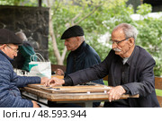 Пенсионеры играют в нарды в парке. Активное долголетие. Редакционное фото, фотограф Evgenia Shevardina / Фотобанк Лори