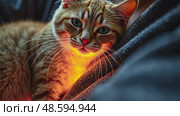 An AI therapy cat with thermo-reactive fur purrs rhythmically against a veteran's chest in a dim PTSD support group room. Cat sitting on human chest and arms. Стоковое AI-видео, аниматор Sergey Grishin / Фотобанк Лори