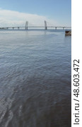 Saint Petersburg. View from the embankment of Vasilievsky Island to the Gulf of Finland, the Western High-Speed ​​Diameter (WHSD) and a beautiful cable-stayed bridge on a sunny day. Vertical video. Стоковое видео, видеограф Виктория Катьянова / Фотобанк Лори