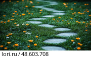 A stone pathway meanders through a garden vibrant with yellow flowers, creating a serene atmosphere in the early morning light. Стоковое AI-изображение, AI-художник Данила Большаков / Фотобанк Лори