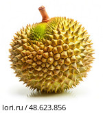 Close Up of Ripe Duran Fruit on White Background. Generative AI. Стоковое AI-изображение, AI-художник Roman Zavorotny / Фотобанк Лори