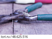 Инструменты для обрезки деревьев в саду.Tools for pruning trees in the garden. Стоковое фото, фотограф Роман Лукьянов / Фотобанк Лори