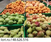Фрукты на прилавке. Груша, яблоко, апельсины и мандарины. Fruits on the counter. Pear, apple, oranges and tangerines. 柜台上的水果。 梨，苹果，橙子和橘子。 Стоковое фото, фотограф Денис Баданин / Фотобанк Лори
