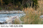 Picturesque mountain landscape. Fragment of a stony bed of a mountain river with cobbles and beautiful grass vegetation on the bank. Стоковое фото, фотограф Роман Дзюбало / Фотобанк Лори
