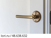 Golden Doorknob. Metal door handle lock and latch of brass on veneer doors. Copper door handle. White door wooden half opening through interior background. Modern trends in interior design. Close-up. Стоковое AI-изображение, AI-художник Марина Демидюк / Фотобанк Лори