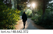 Person walking along a tree-lined path in the early morning sunlight at a serene park. Стоковое AI-изображение, AI-художник Сергей Толмачёв / Фотобанк Лори