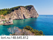 Адриатическое море. Черногория. Остров Святого Николая (2012 год). Стоковое фото, фотограф Бродовой Дмитрий / Фотобанк Лори